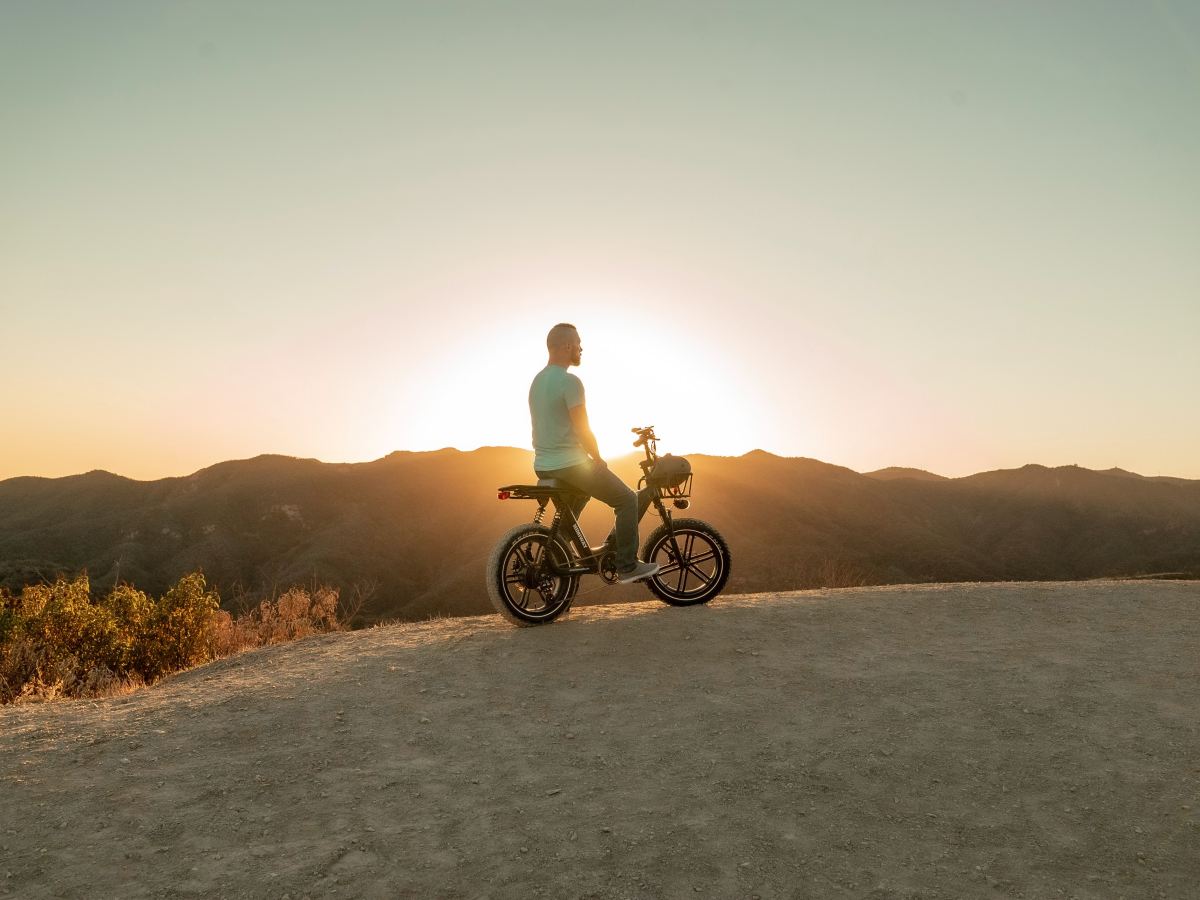 Pedalling Towards a Green Future: The Surge of Electric&nbsp;Bikes